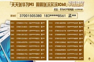 新2025澳门天天开好彩，精准解读彩票背后的寓意，警惕虚假宣传的力量