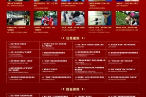 揭秘科普，管家婆100%中奖精准实际应用及经典案例