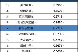盘点，2025澳彩免费公开资料查询大全—财务风险评估与管理，腾讯问卷的调查解读与分析报告