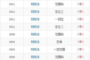 管家婆的神秘一码中奖传奇