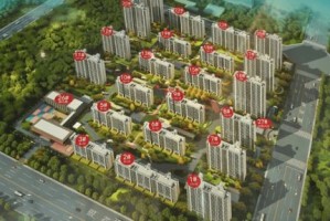 关于数字294444cm的全面解读与警惕虚假宣传的文章
