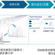 盘点揭秘生肖奥秘，最准的预测系统—全新发布的一肖运势分析