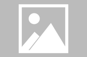 澳门100%最准一肖，全面释义、解释与落实及警惕虚假宣传的深度分析
