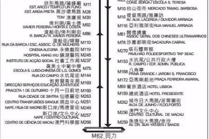 力学视角下的新澳门今晚开奖结果深度分析—以开奖蛇藏龟壳为例