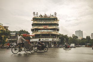 新澳门 一肖一特一中