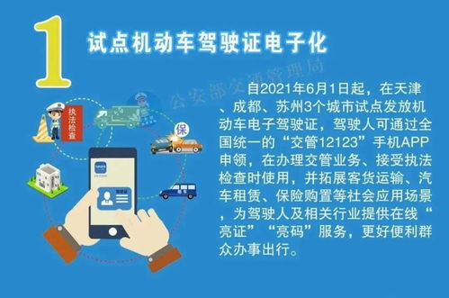 2025新澳门天天免费精准大全澳门追杀，全面释义、解释与落实及警惕虚假宣传