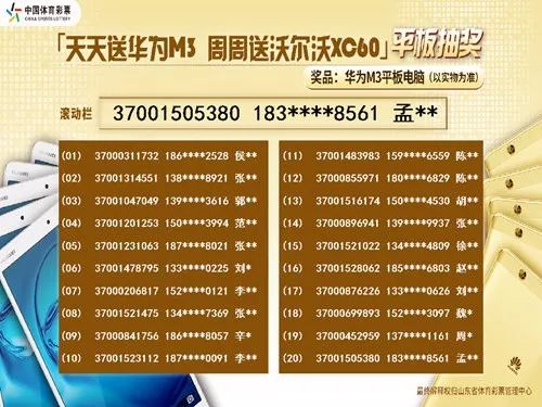 新2025澳门天天开好彩，精准解读彩票背后的寓意，警惕虚假宣传的力量